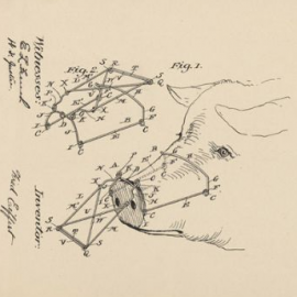 Unites States Patent Application #20080195575